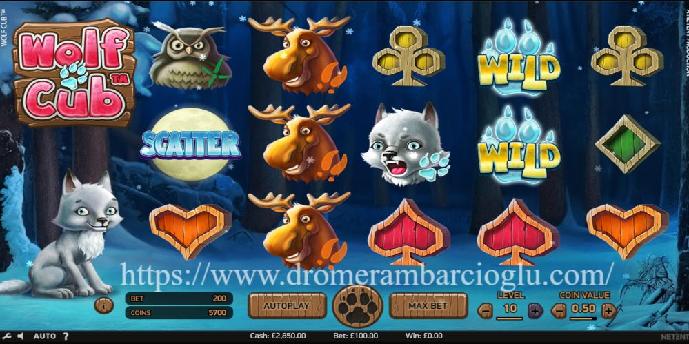 https://www.dromerambarcioglu.com/