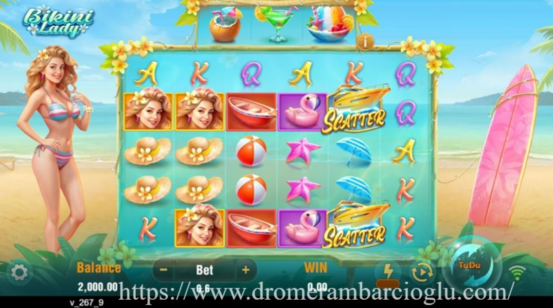 https://www.dromerambarcioglu.com/